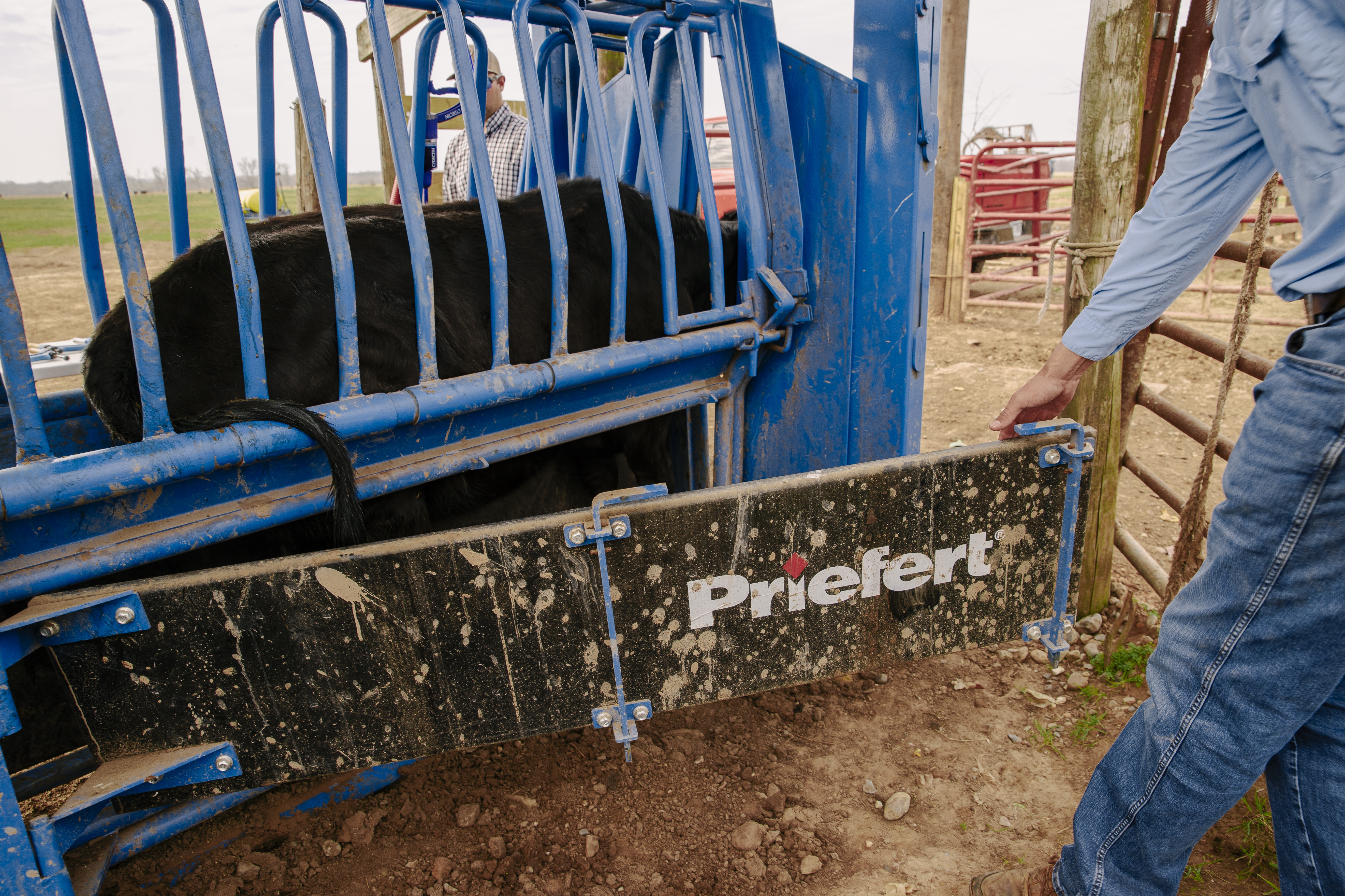 SqueezeChute SC25 0326 Boyce 9229.jpg